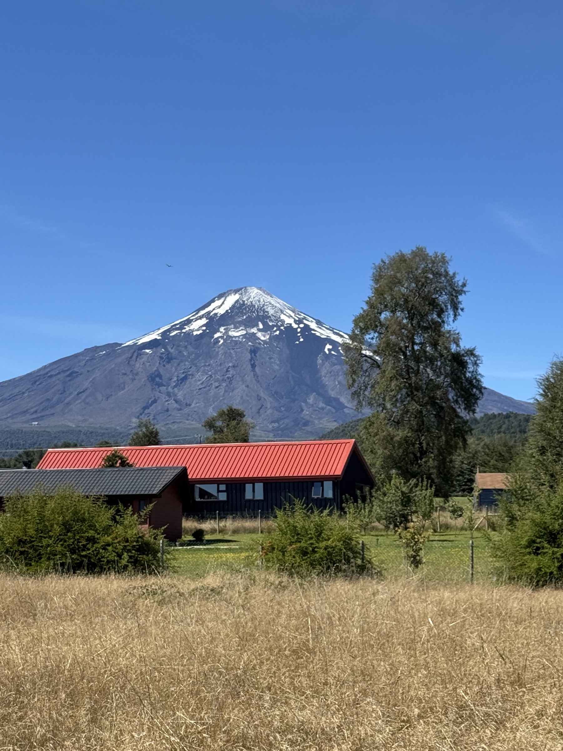 Caminata soleada en Pucón entre bandurrias y naturaleza