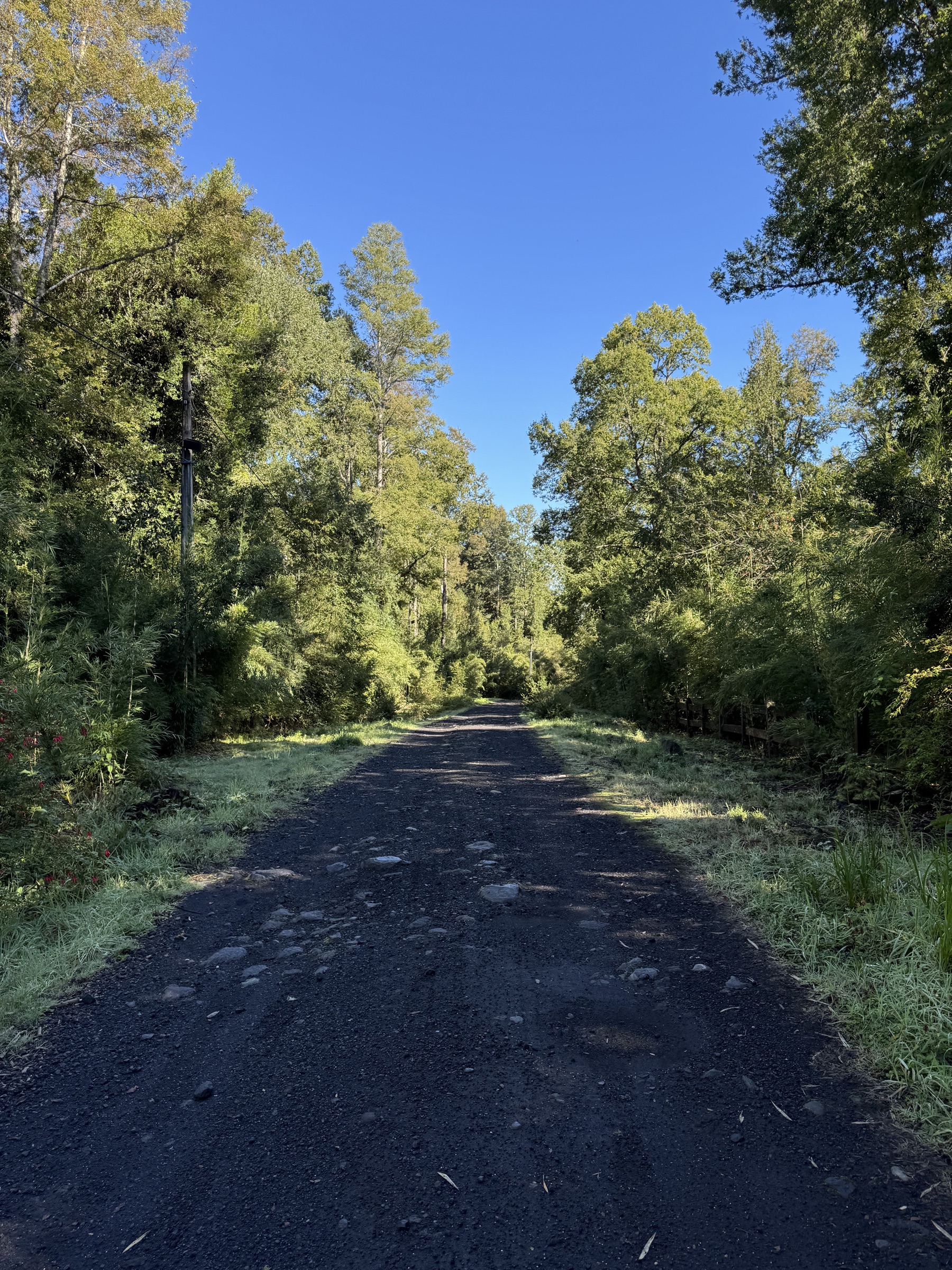 Trabajo remoto, IA y confianza: reflexiones desde Pucón
